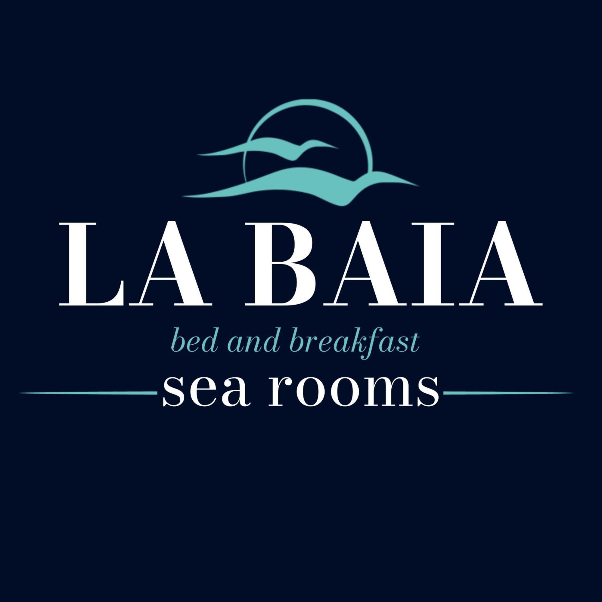 B&B La Baia Sea Rooms Bisceglie Zewnętrze zdjęcie